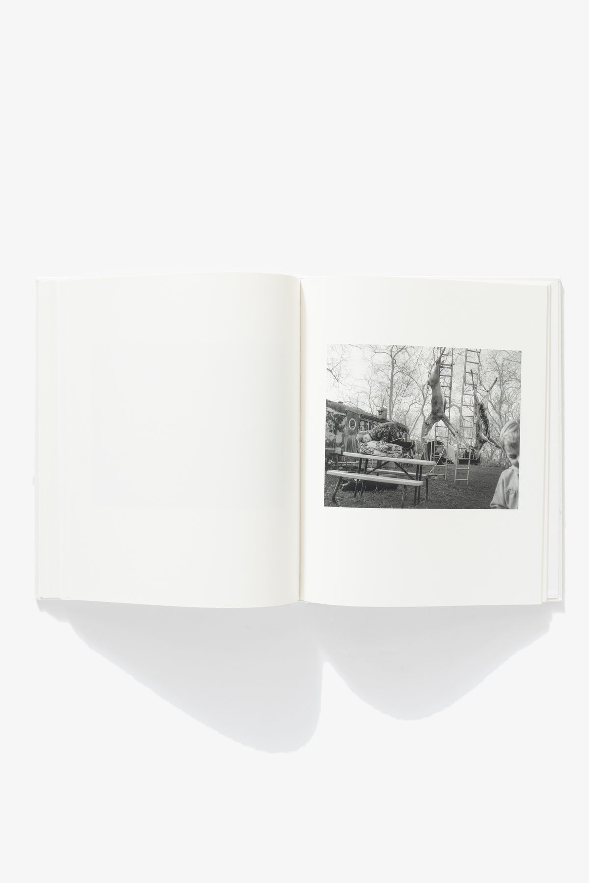 ERINN SPRINGER - DORMANT SEASON