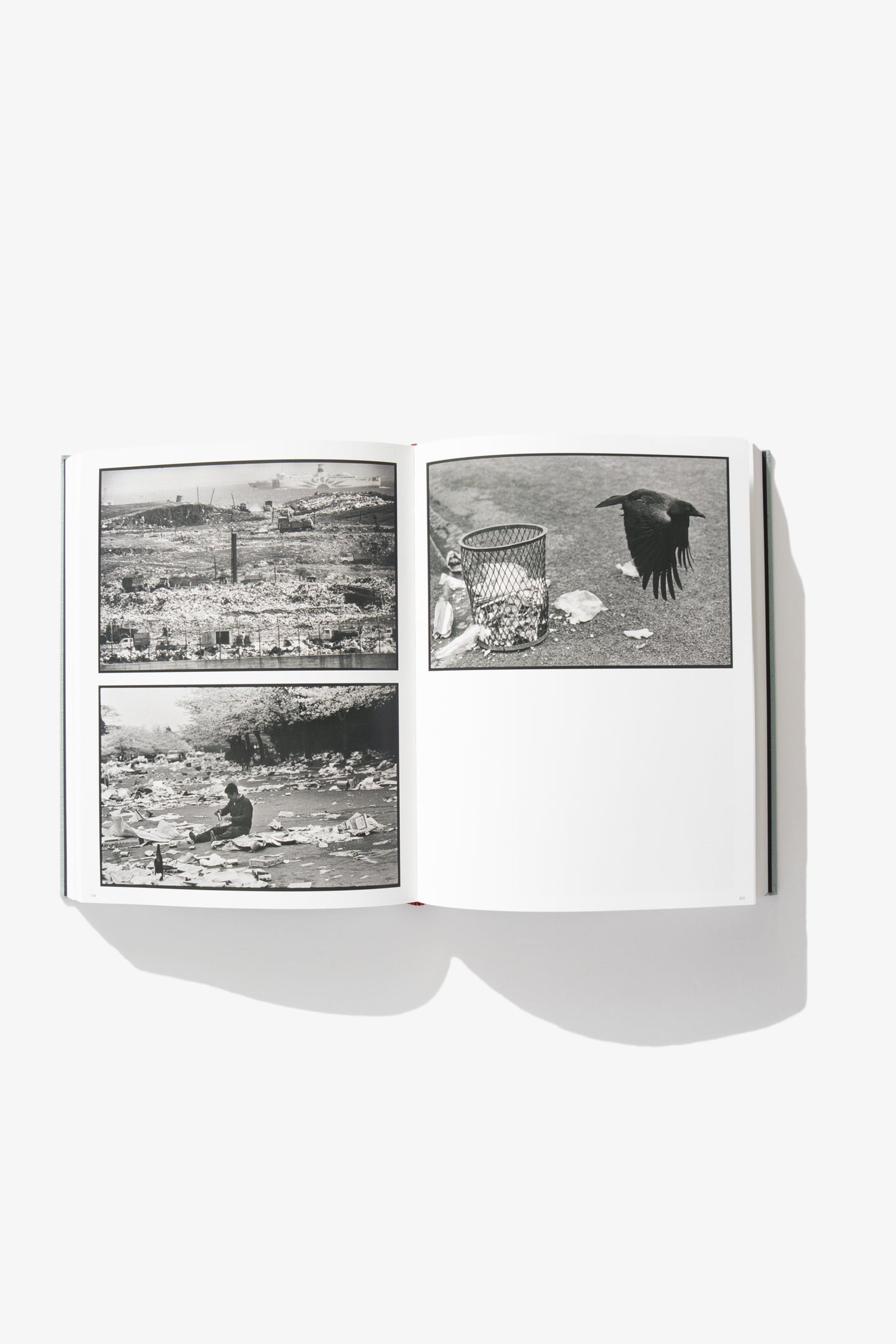 Tomo Kusuga & Simon Baker - Masahisa Fukase