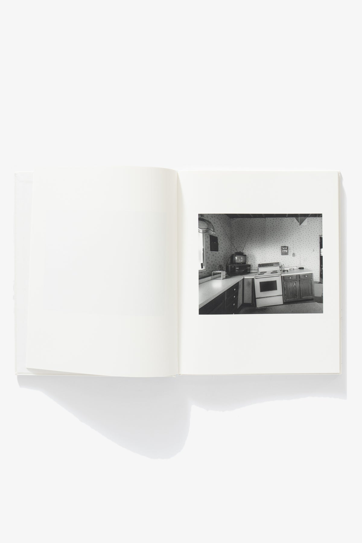 ERINN SPRINGER - DORMANT SEASON