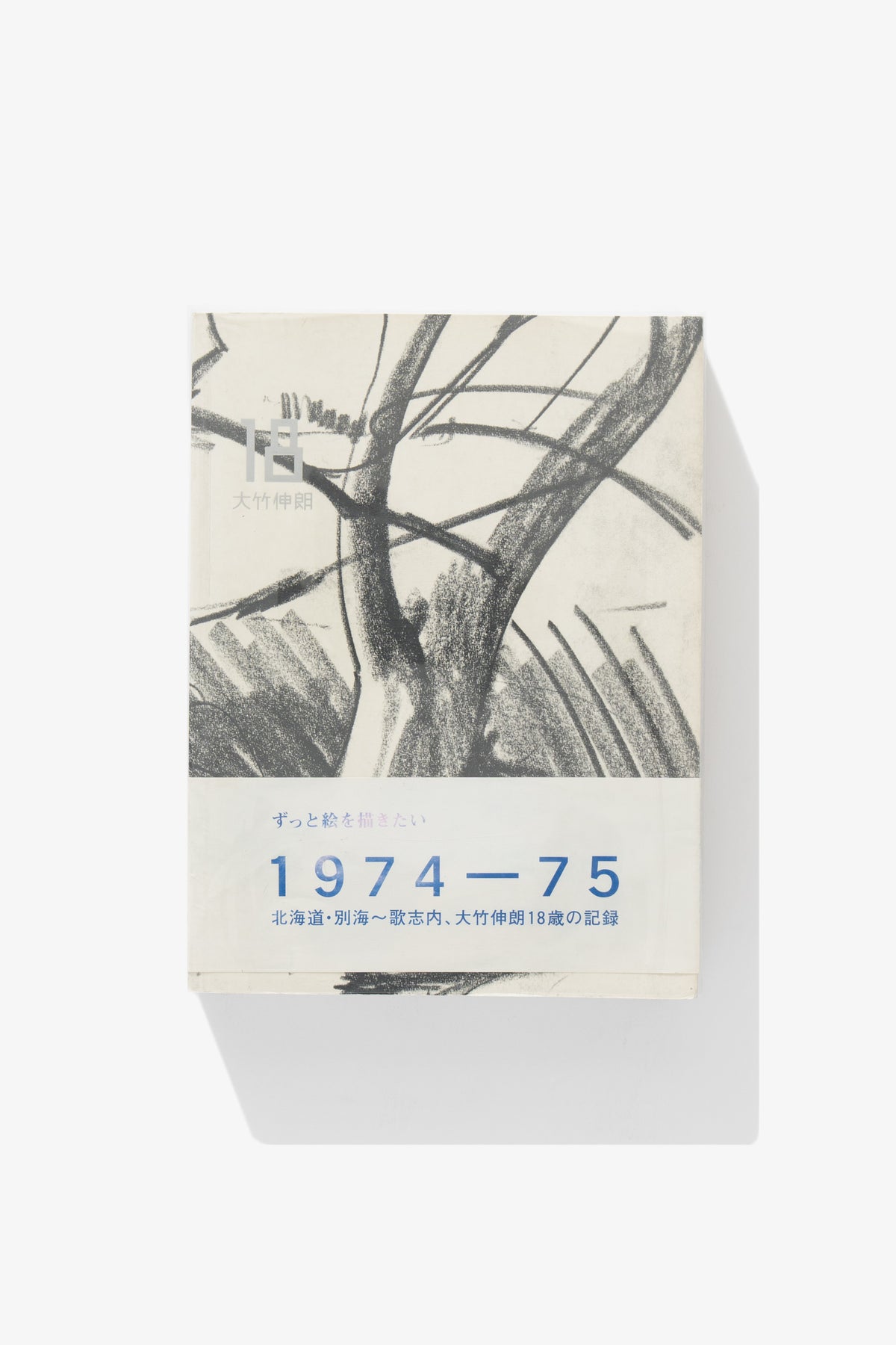 SHINRO OHTAKE - 18